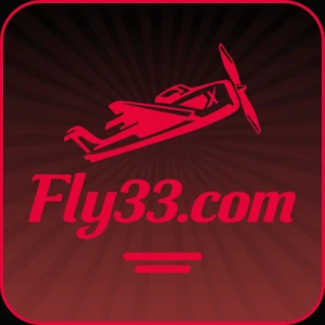 Fly33